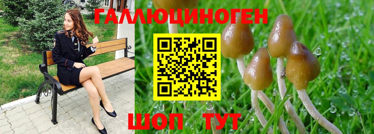 Выкса  Псилоцибиновые грибы Magic Shrooms  Вход с VPN 